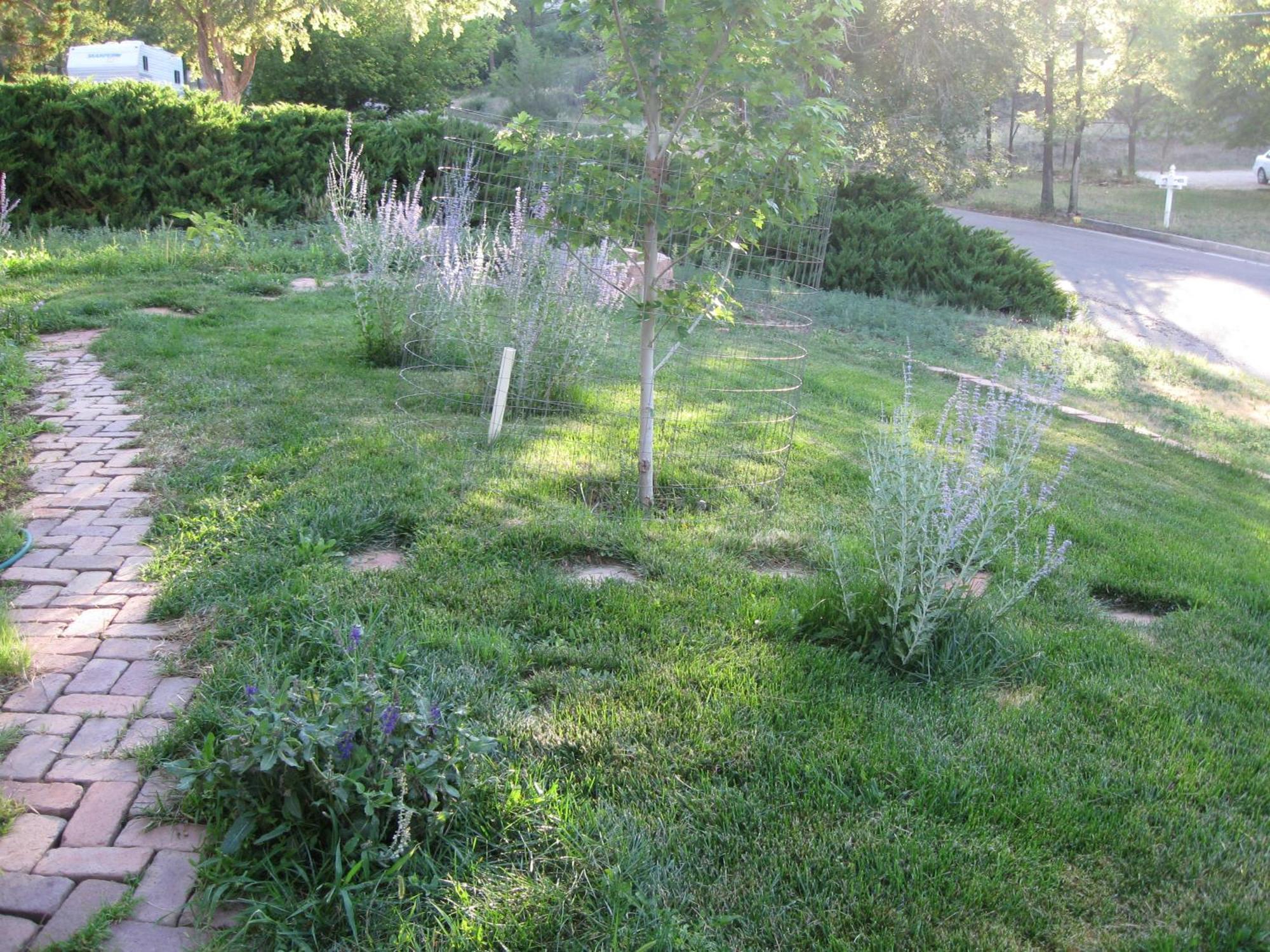 Mystic Portal 420 Guesthouse Colorado Springs Exteriör bild